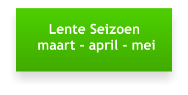 Lente Seizoen   maart - april - mei